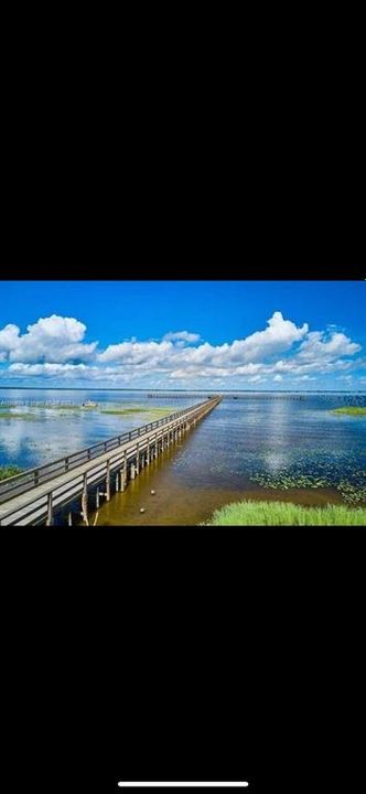 For Sale: $18,900 (0.50 acres)