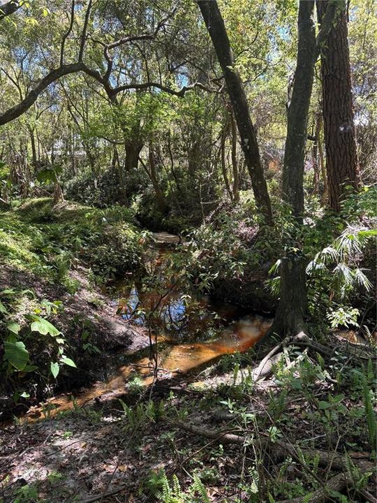 待售: $746,000 (5 贝兹, 2 浴室, 2930 平方英尺)