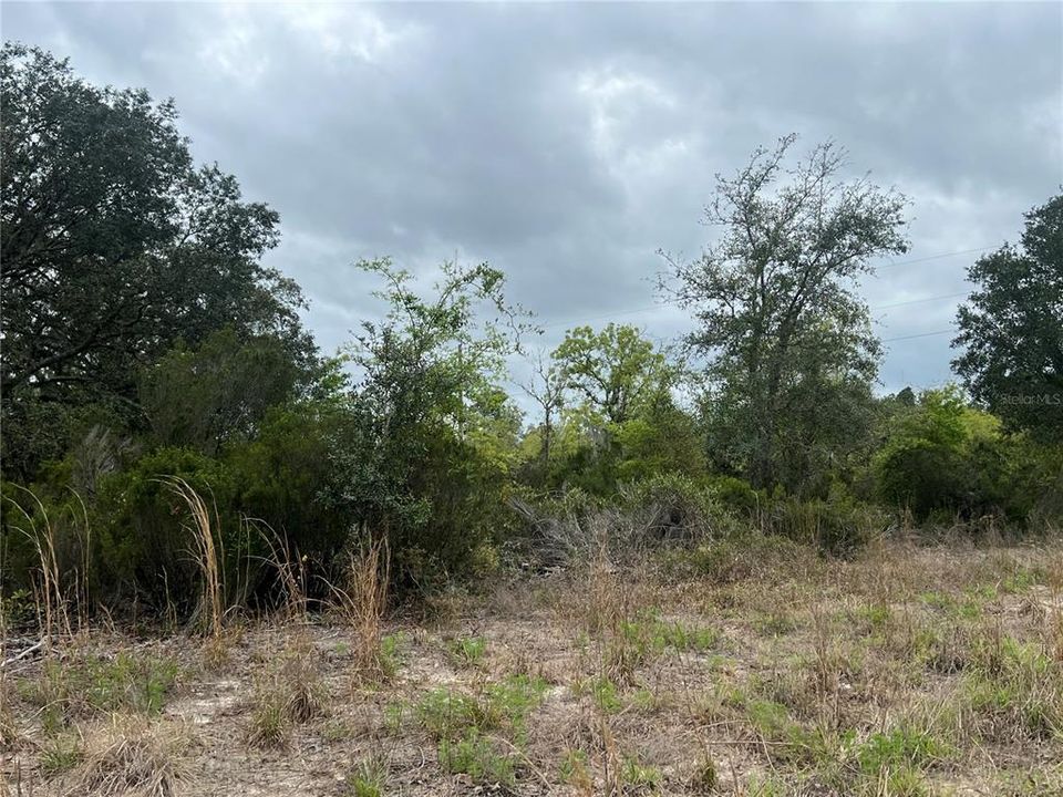 Recently Sold: $29,900 (1.25 acres)