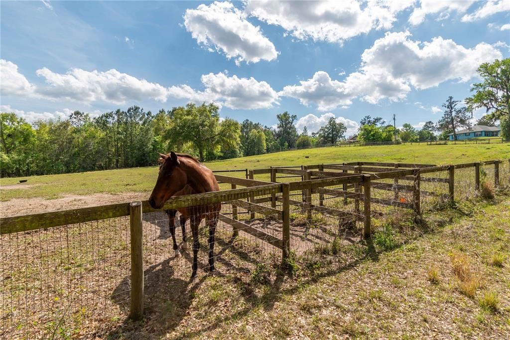 Active With Contract: $600,000 (20.00 acres)