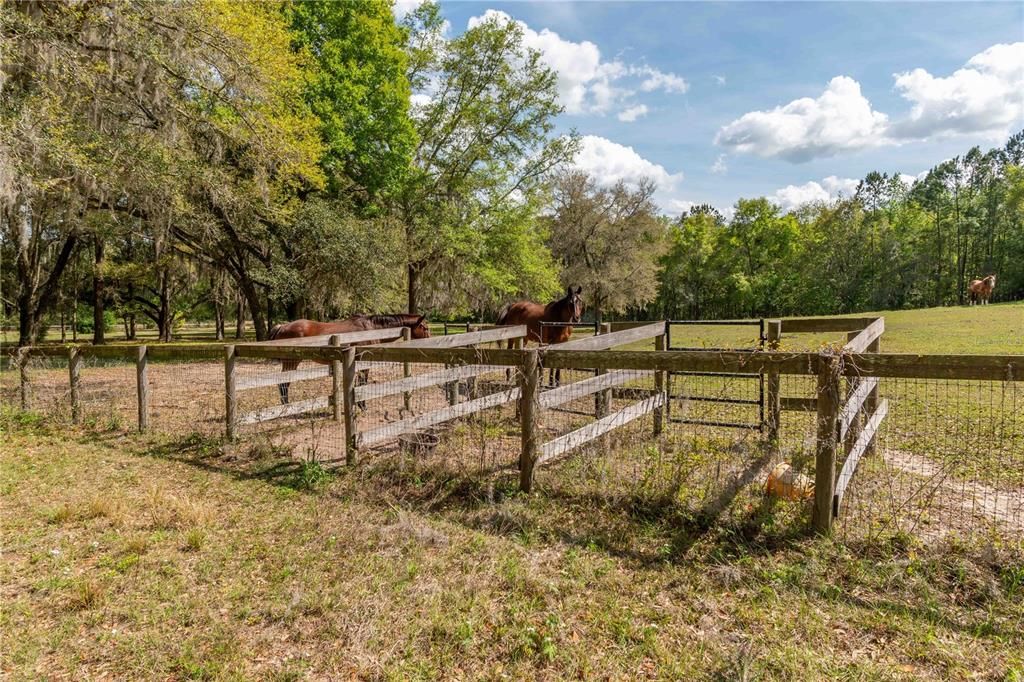 Active With Contract: $600,000 (20.00 acres)