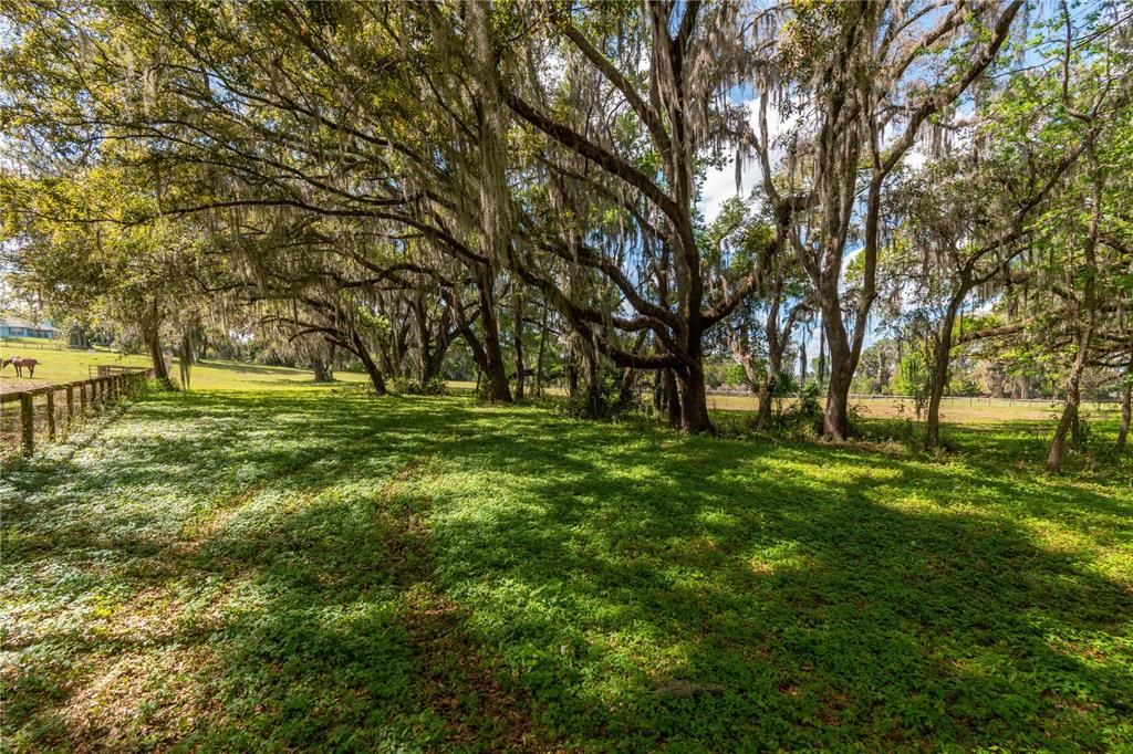 Active With Contract: $600,000 (20.00 acres)