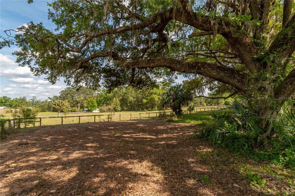 Active With Contract: $600,000 (20.00 acres)