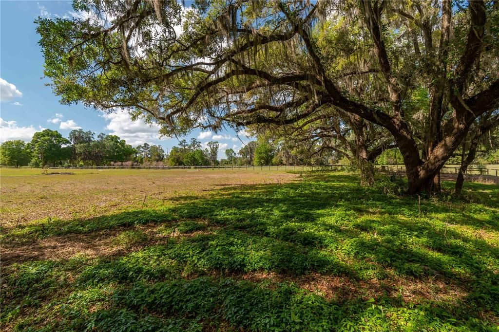 Active With Contract: $600,000 (20.00 acres)