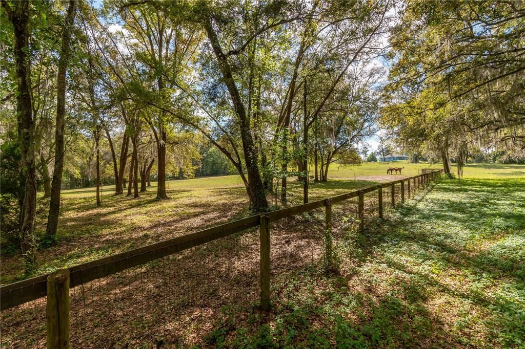 Active With Contract: $600,000 (20.00 acres)