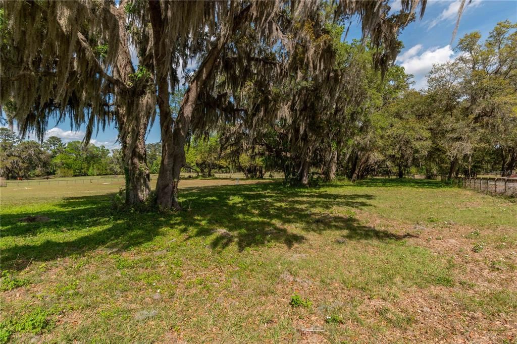 Active With Contract: $600,000 (20.00 acres)