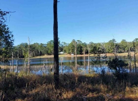 For Sale: $29,000 (0.28 acres)