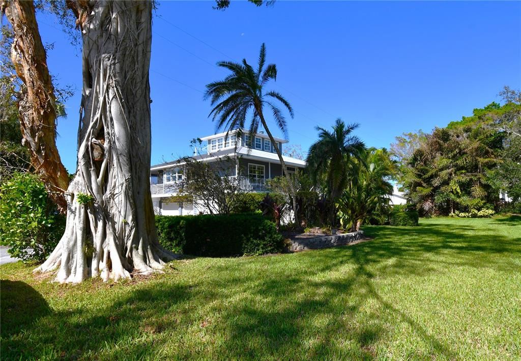 出租: $8,500 (3 贝兹, 2 浴室, 2574 平方英尺)