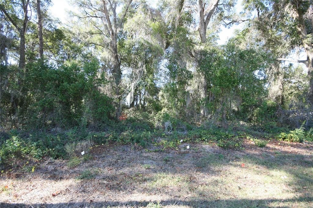 待售: $199,900 (1.50 acres)