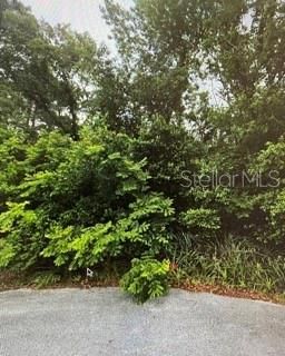 最近售出: $58,000 (0.60 acres)