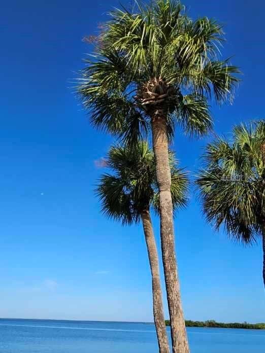 На продажу: $60,000 (1 спален, 1 ванн, 658 Квадратных фут)