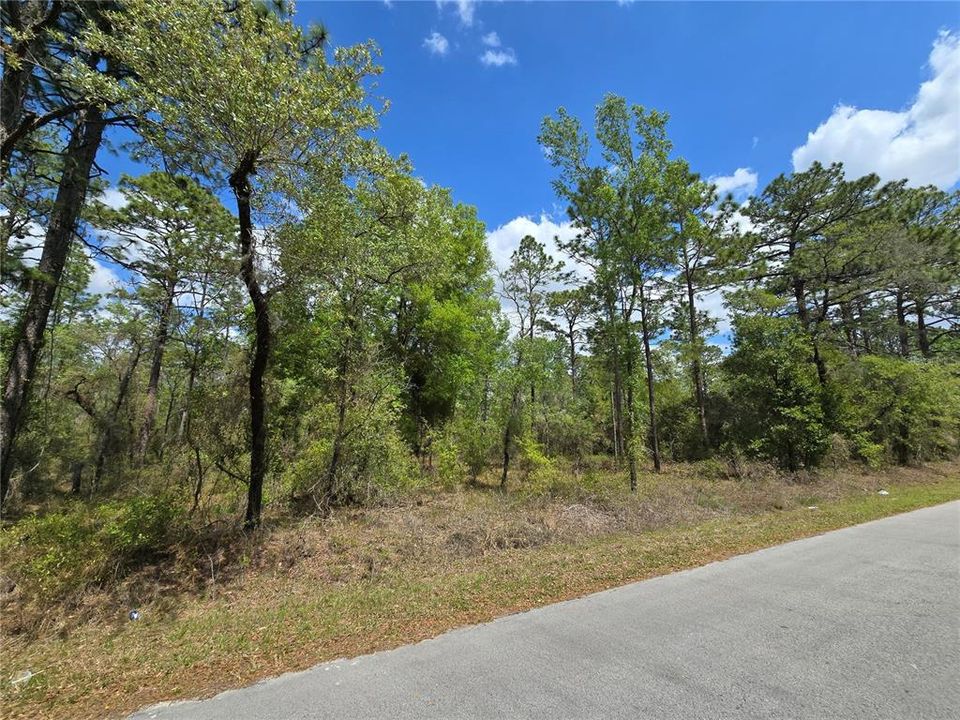 Recently Sold: $11,499 (0.24 acres)