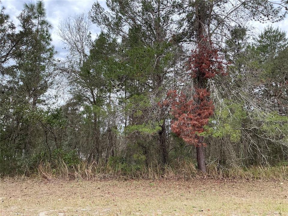 Recently Sold: $36,400 (0.23 acres)