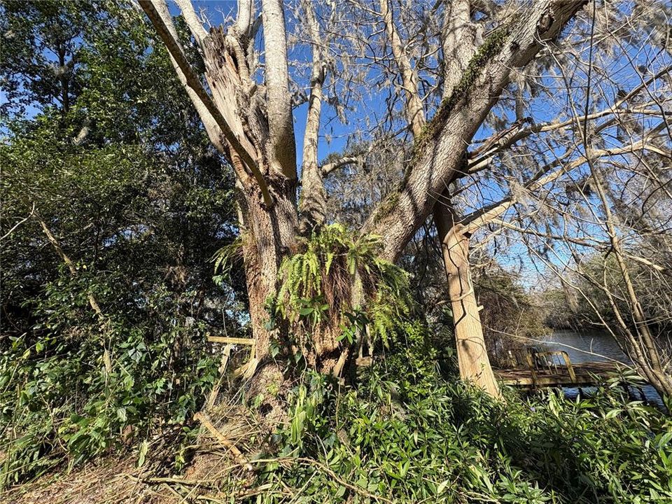 待售: $94,900 (0.28 acres)