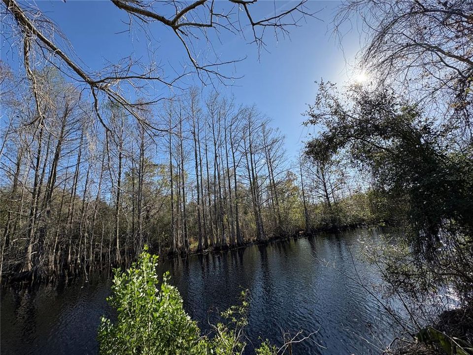 待售: $94,900 (0.28 acres)