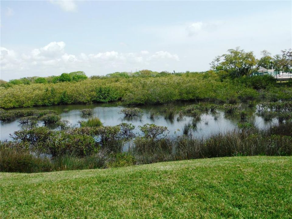 For Sale: $213,000 (2 beds, 2 baths, 1168 Square Feet)