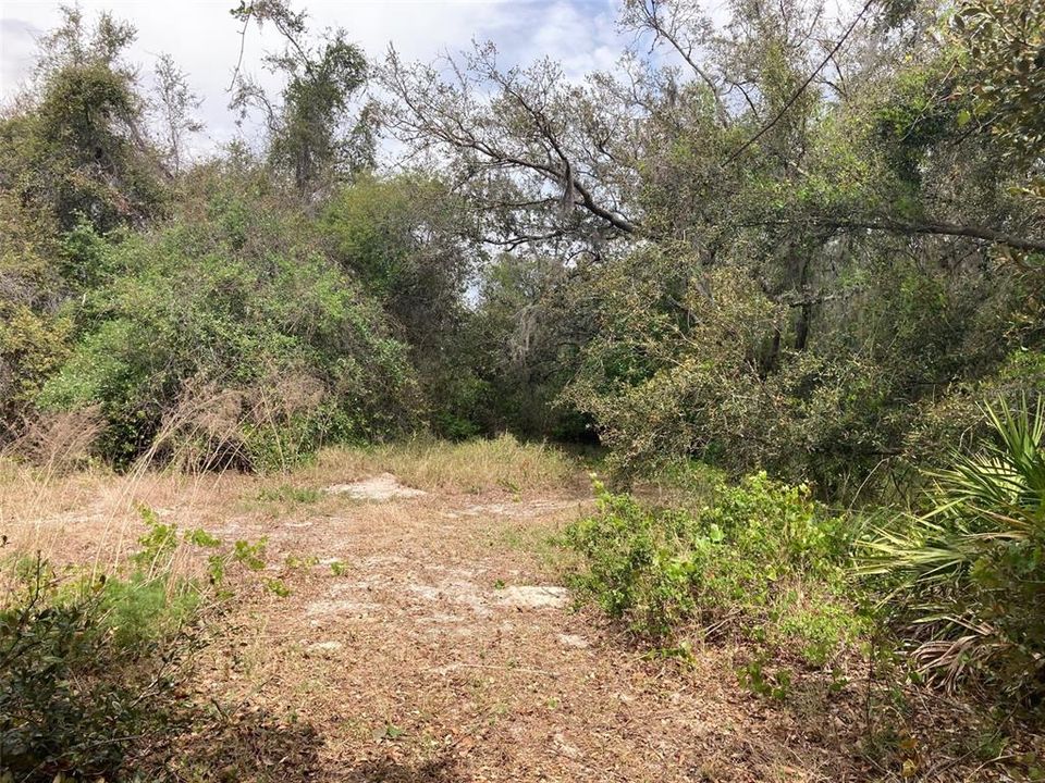 For Sale: $56,000 (1.00 acres)