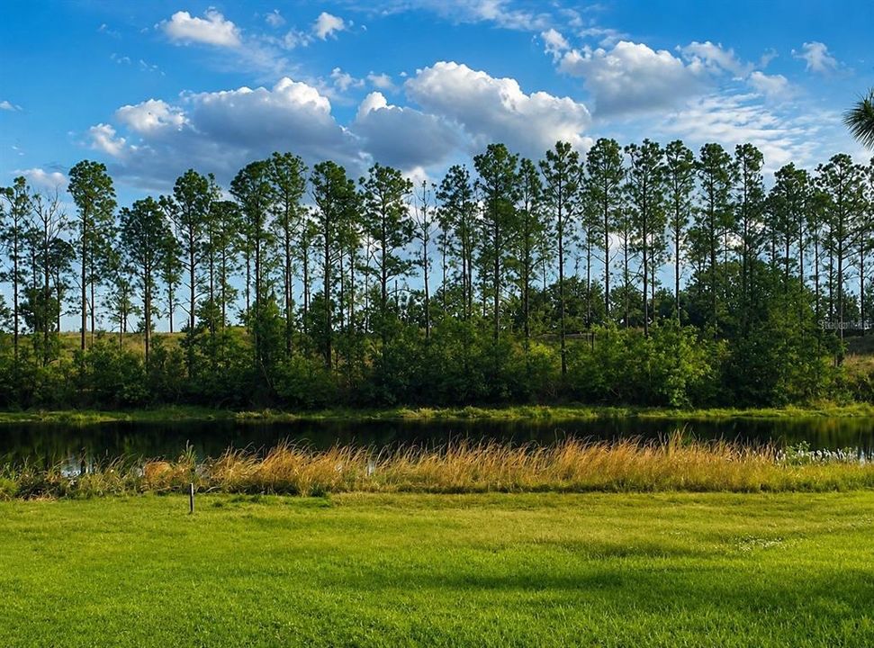 На продажу: $340,000 (0.65 acres)