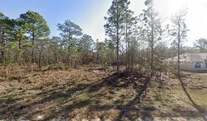 Недавно продано: $42,000 (0.46 acres)