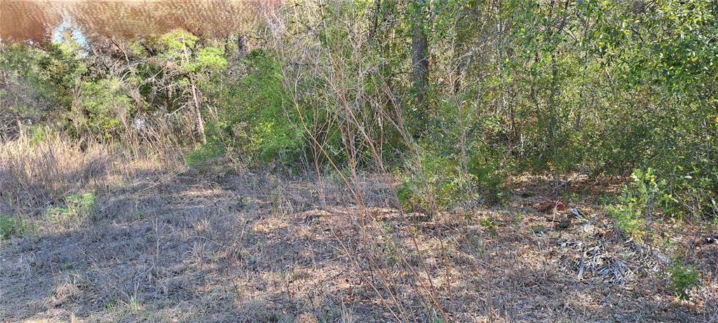 For Sale: $33,000 (0.60 acres)