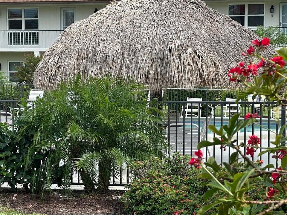 For Sale: $249,900 (1 beds, 1 baths, 508 Square Feet)