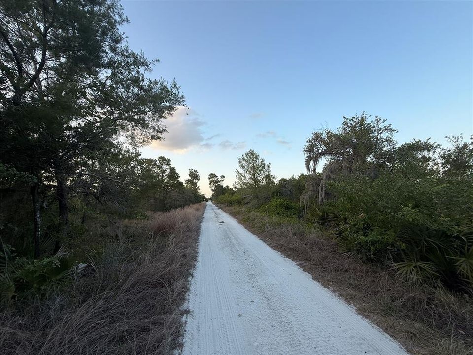 For Sale: $19,900 (0.26 acres)