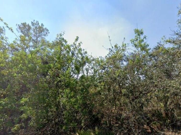 For Sale: $19,900 (0.26 acres)