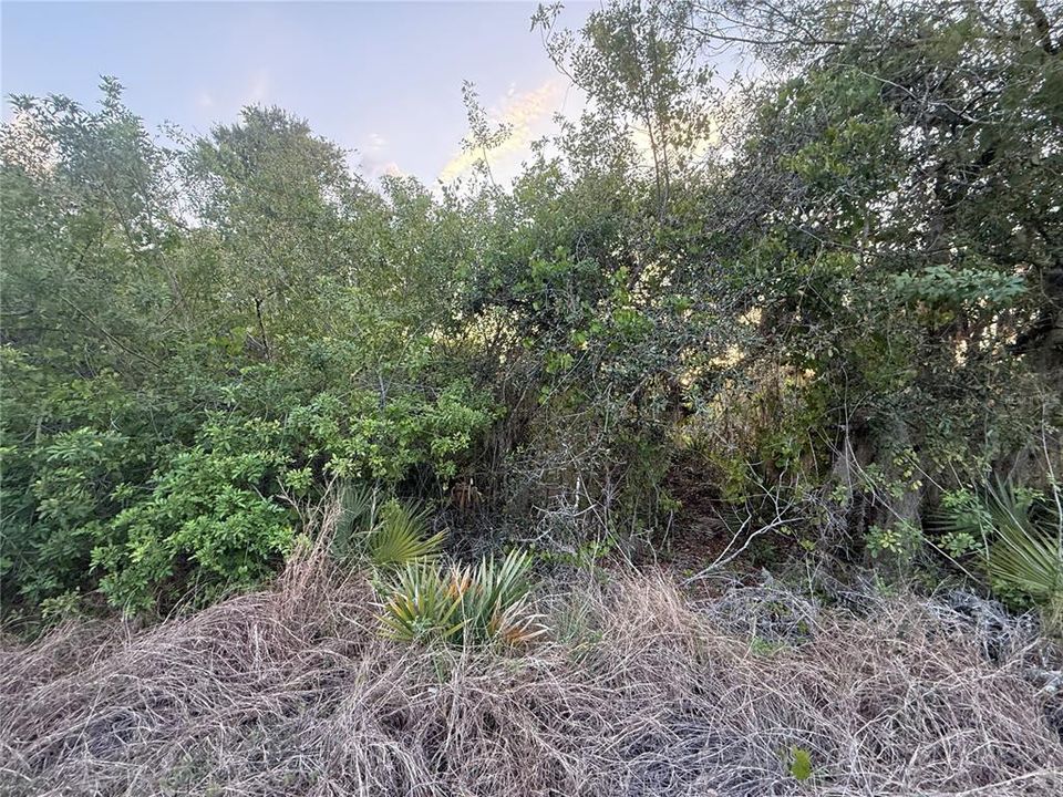 For Sale: $19,900 (0.26 acres)