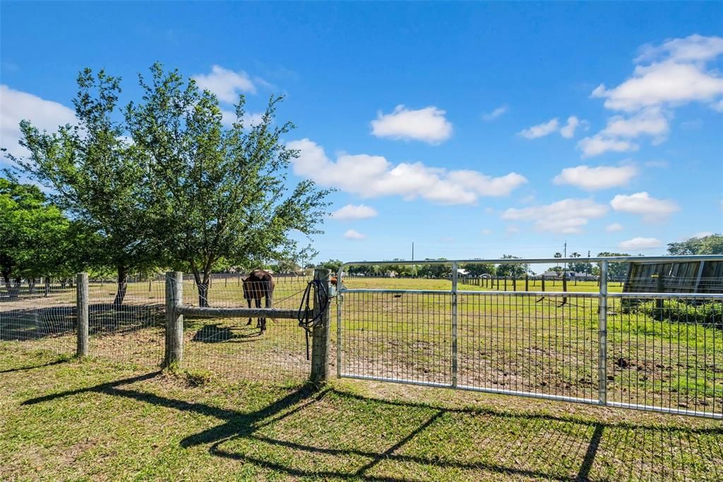 Active With Contract: $660,000 (3 beds, 2 baths, 1969 Square Feet)