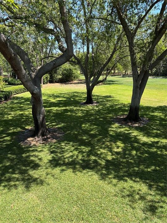 For Sale: $219,900 (1 beds, 1 baths, 825 Square Feet)