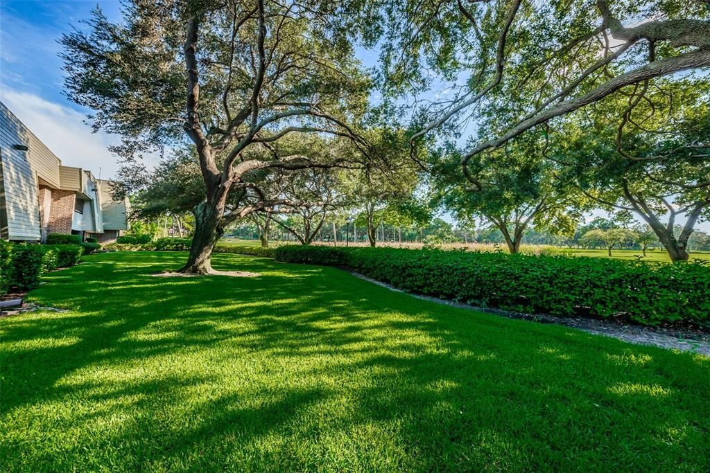 For Sale: $219,900 (1 beds, 1 baths, 825 Square Feet)