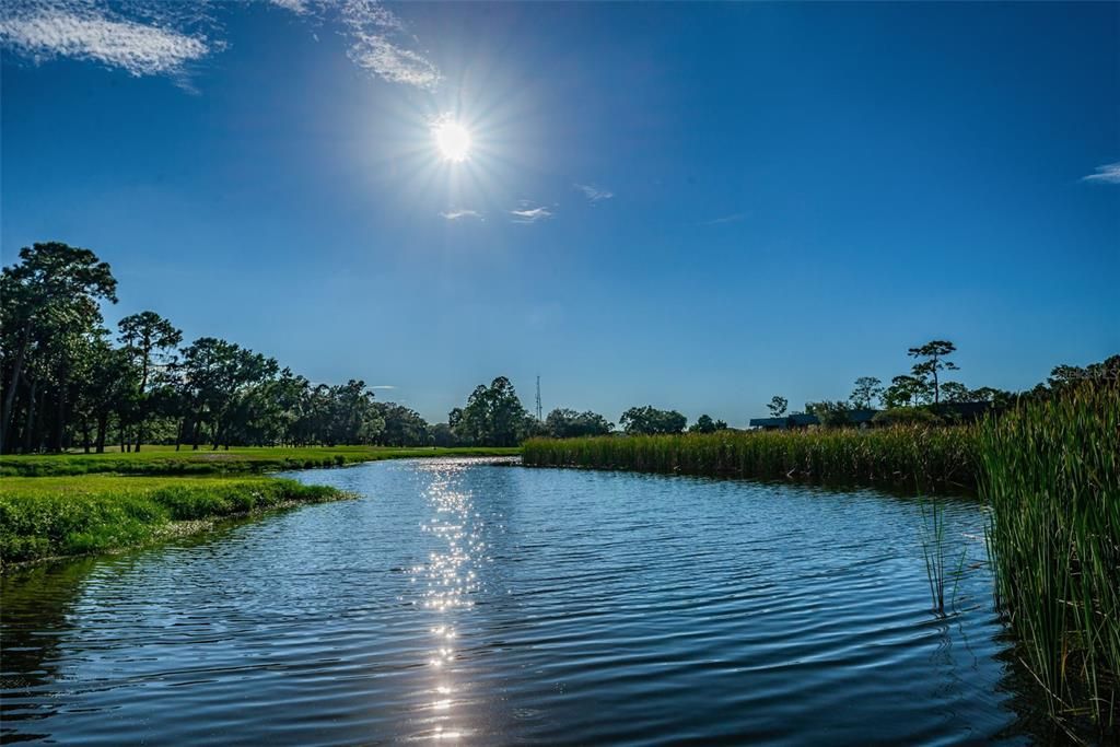 For Sale: $219,900 (1 beds, 1 baths, 825 Square Feet)