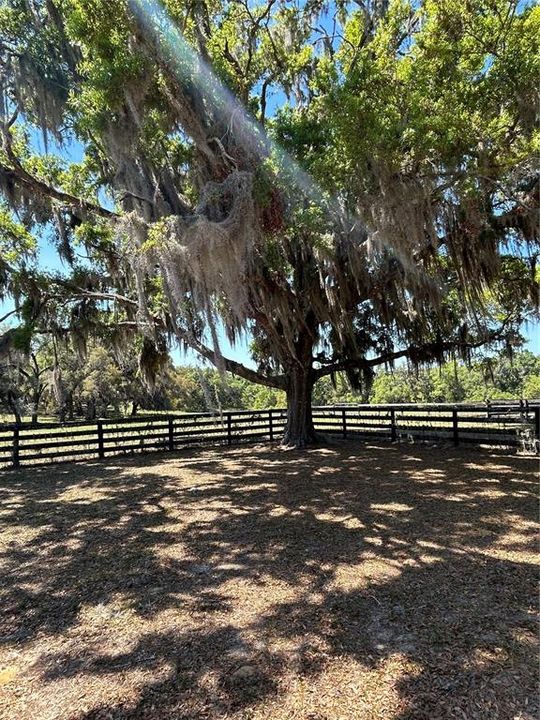 合同活跃: $525,000 (5 贝兹, 3 浴室, 3308 平方英尺)