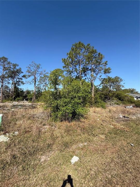 Activo con contrato: $65,000 (0.16 acres)