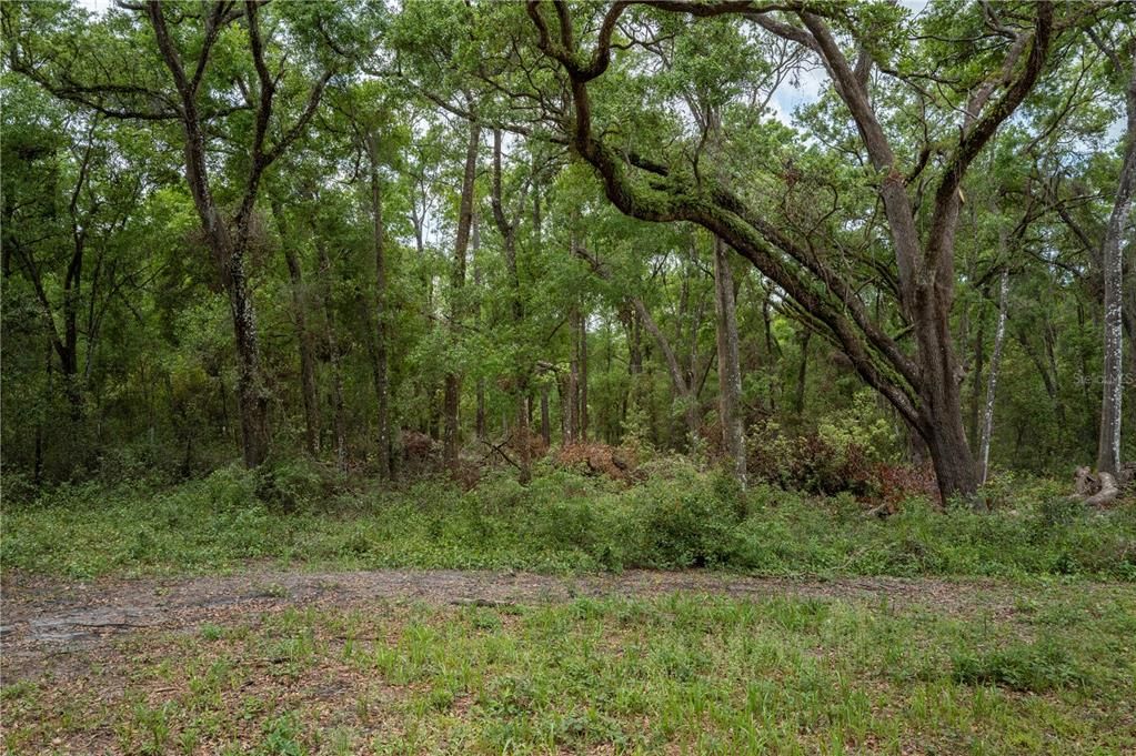 Под контрактом: $135,000 (1.48 acres)