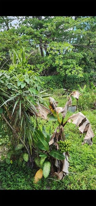 待售: $200,000 (3 贝兹, 1 浴室, 1178 平方英尺)