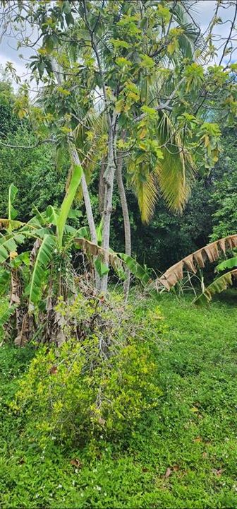 待售: $200,000 (3 贝兹, 1 浴室, 1178 平方英尺)