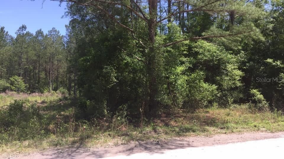 For Sale: $7,000 (0.23 acres)