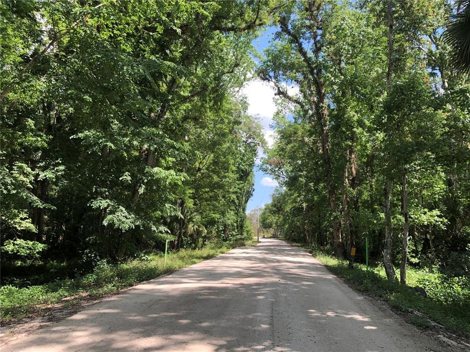 For Sale: $80,000 (5.01 acres)