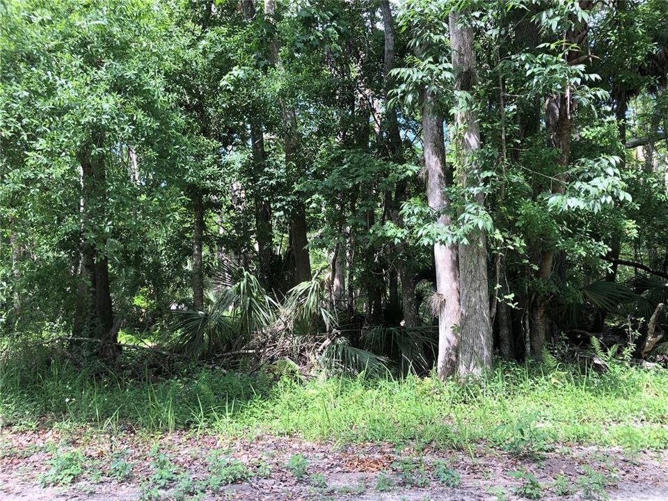 For Sale: $80,000 (5.01 acres)