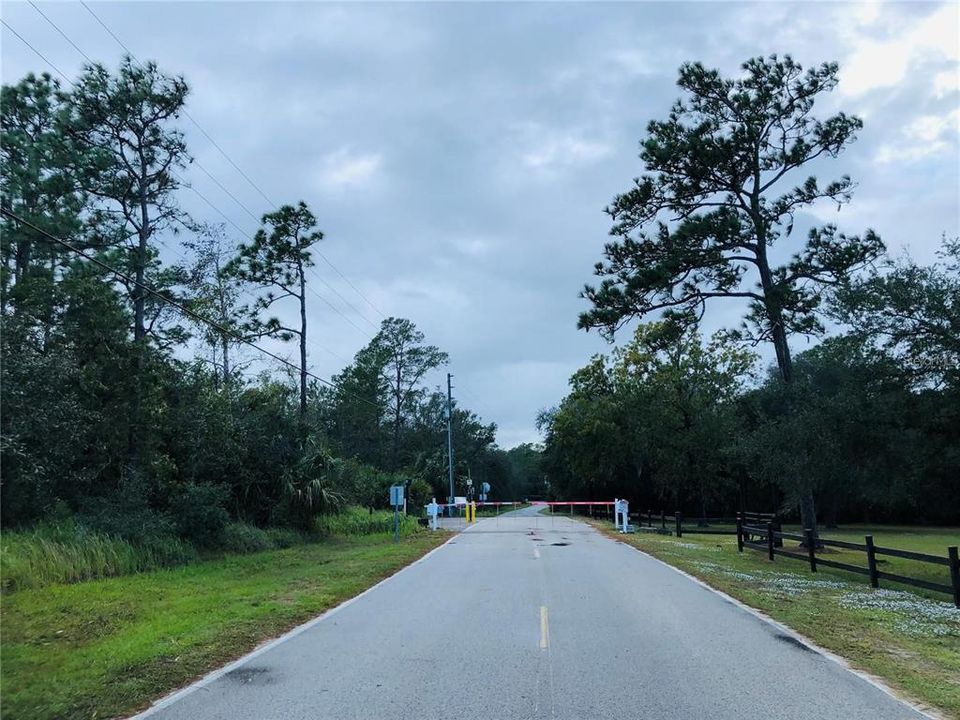 For Sale: $80,000 (5.01 acres)