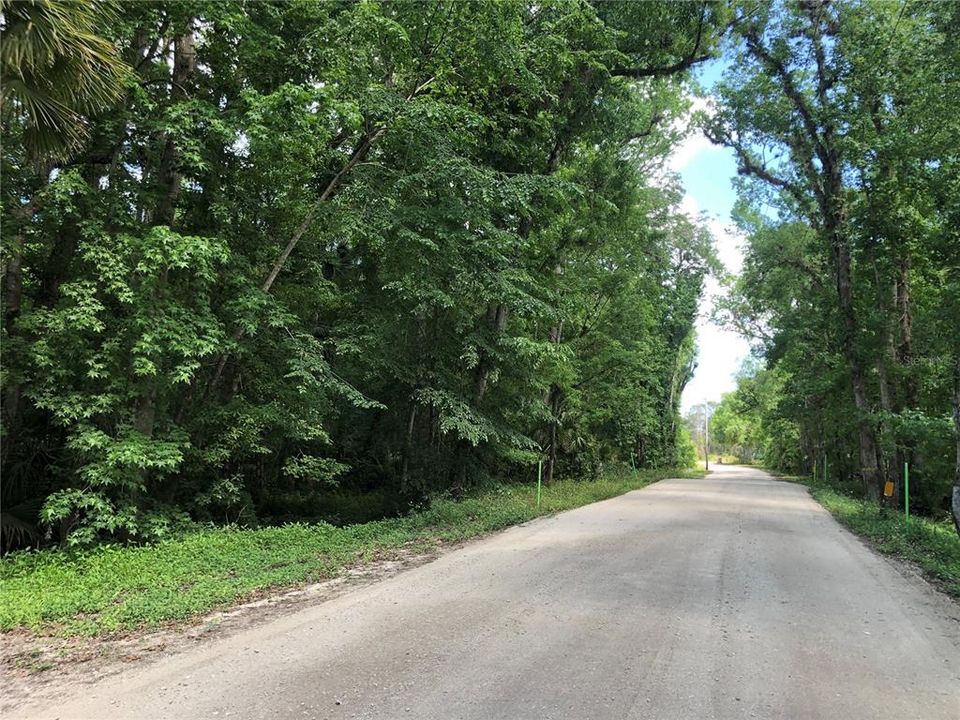 For Sale: $80,000 (5.01 acres)