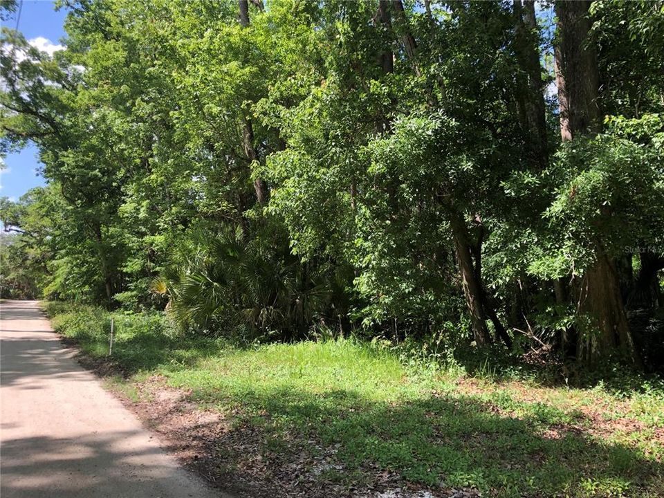 For Sale: $80,000 (5.01 acres)