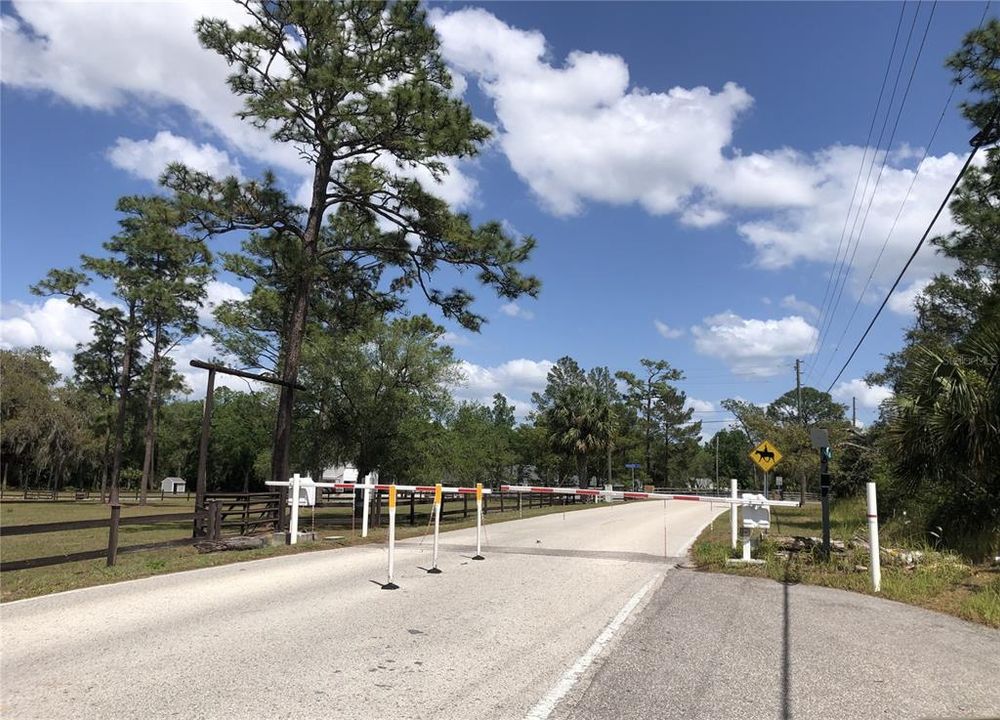 For Sale: $80,000 (5.01 acres)