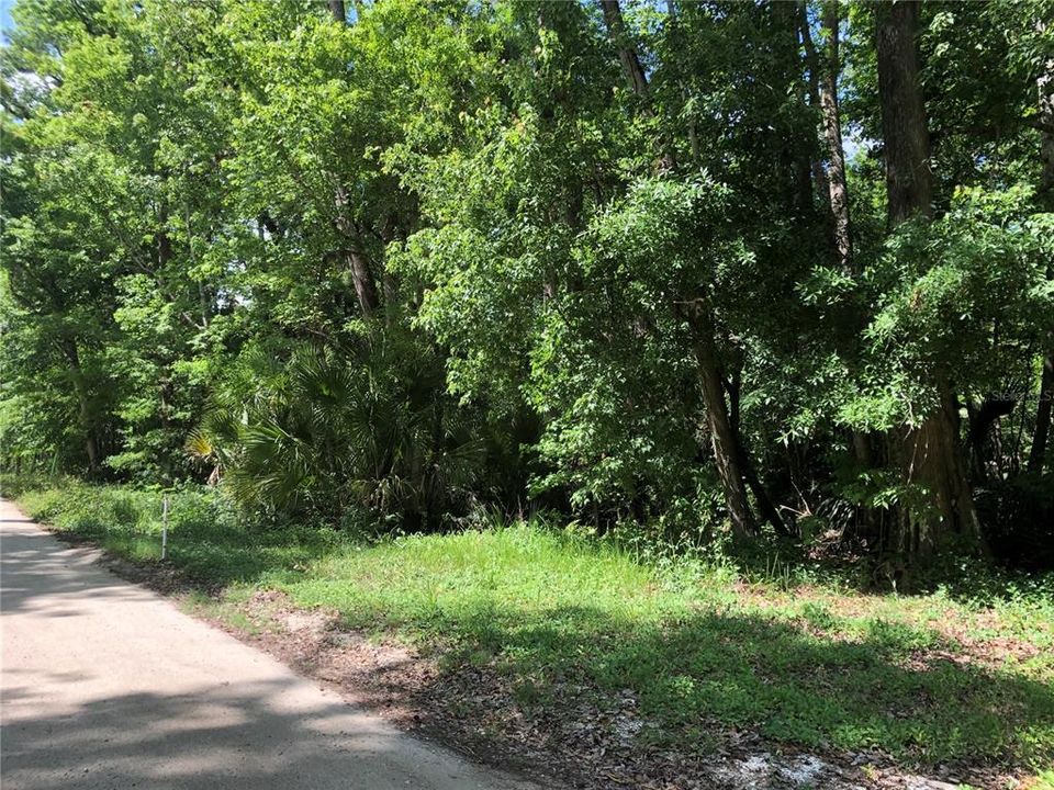 For Sale: $80,000 (5.01 acres)