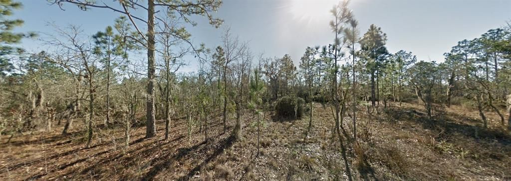 На продажу: $9,950 (0.23 acres)