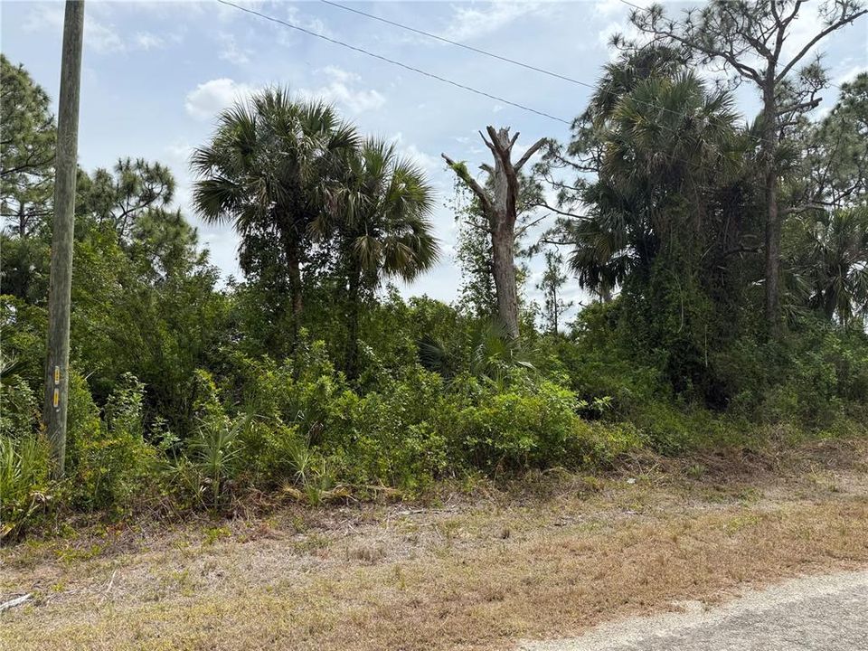 Недавно продано: $20,000 (0.23 acres)