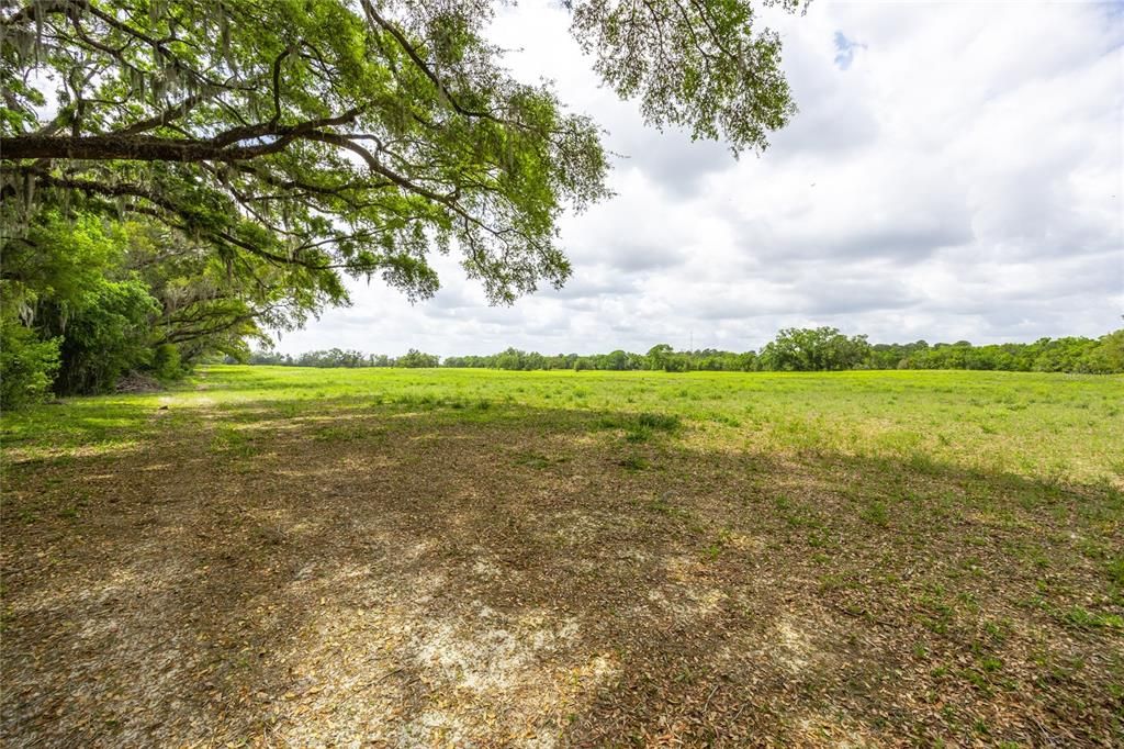 For Sale: $309,900 (5.06 acres)