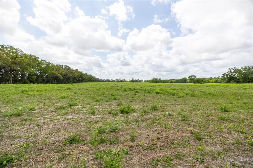 For Sale: $295,000 (5.00 acres)
