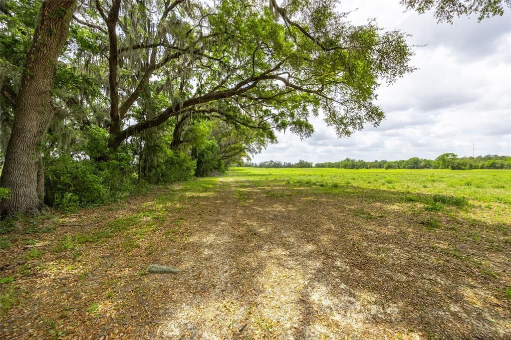 For Sale: $295,000 (5.00 acres)